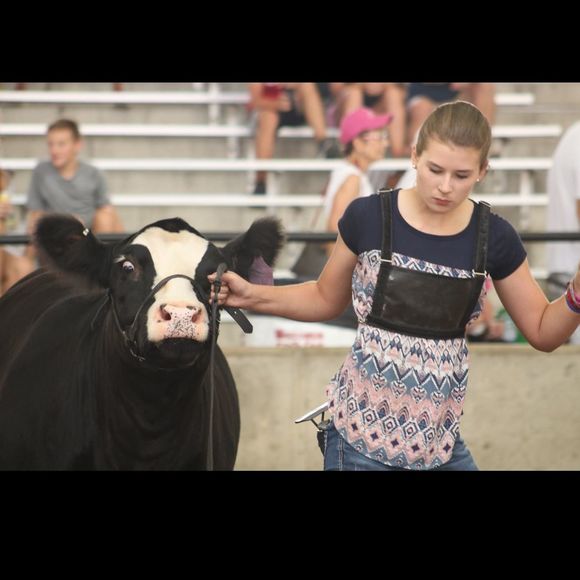 Meet your Posher, Cortney - Picture 1 of 1